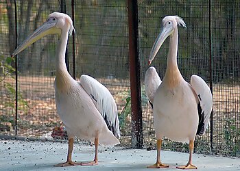 Kanan Pendari Zoological Garden