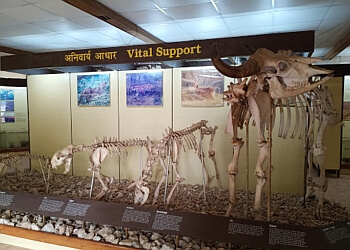 3 Best Museums in Indore - Expert Recommendations