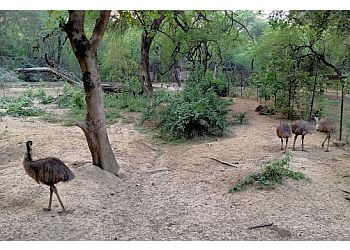 Kanpur Zoological Park