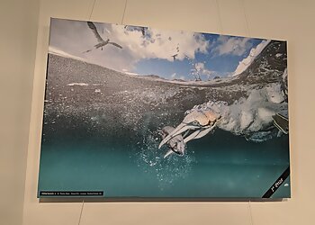 Kasthuri Sreenivasan Art Gallery & Textile Museum