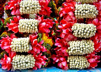 Pondicherry Flower Shops Khlorisa image 1