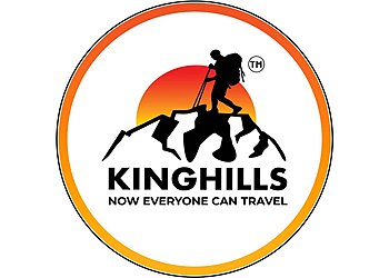 पुणे ट्रैवल एजेंस Kinghills Travels Pune छवि 1