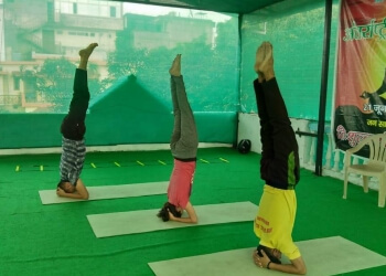 3 Best Yoga Classes in Dehradun - Expert Recommendations