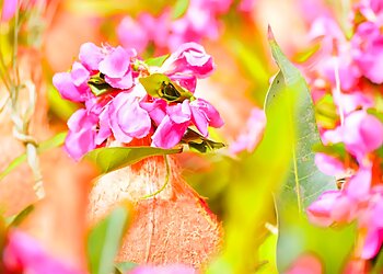 Kwinography the Feature Studio