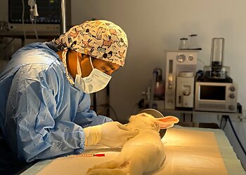 Leela Veterinary Hospital