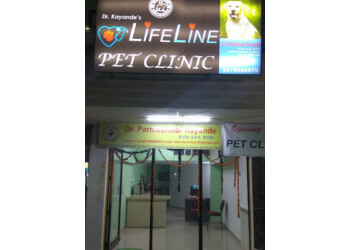 3 Best Veterinary Hospitals In Nagpur Expert Recommendations