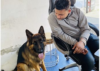 Lifeline Pet Care Clinic