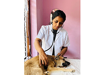 Little Paws Pet Clinic