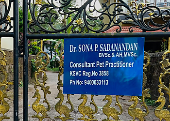 Little Paws Pet Clinic