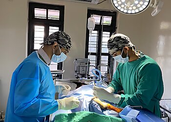 Little Paws Veterinary Clinic