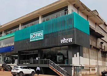 Lotus Electronics Bhilai