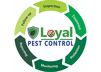 Loyal Pest Control