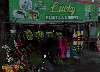 Lucky Plants & Florists