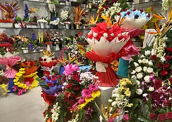 Lucky Plants & Florists