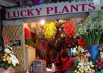 Lucky Plants & Florists