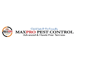 3 Best Pest Control Services in New Delhi - Expert ...