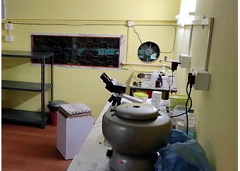 Max Veterinary Clinic