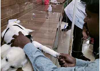 MGM Veterinary Hospital