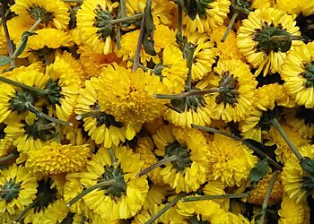 M.M.K Srinivasa Flower Stall