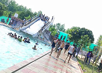 M.S. FARM and POOL SPOT