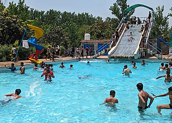 M.S. FARM and POOL SPOT