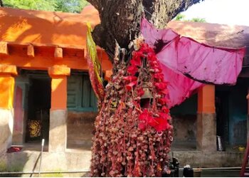 Maa Kalyaneswari Temple