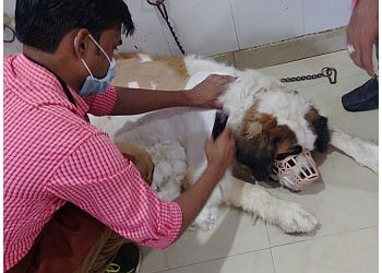 Maa Parwati Dog Clinic and Pet Spa