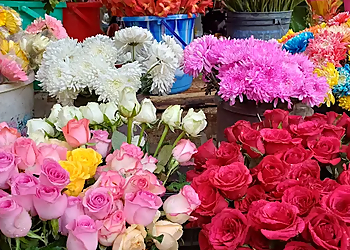 Maa Tara Flower shop