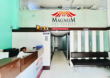 Magnum Life Sciences Private Limited