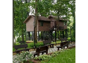 Mamta Shah & Associates