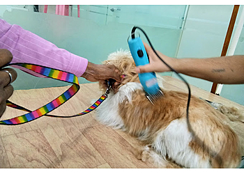 MaxPetZ East of Kailash