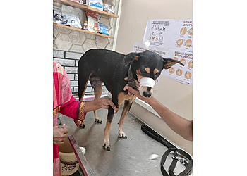 Max and Lucy Pet Clinic