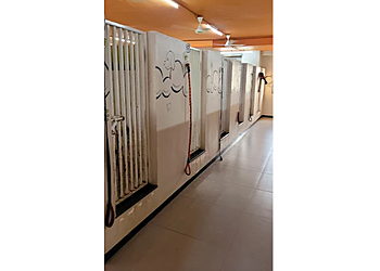 Maxwell International Pet Care