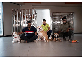 Maxwell International Pet Care