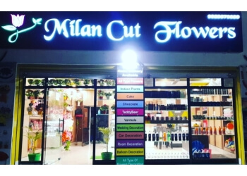 Milan Cut Flower