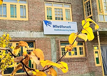 श्रीनगर व्यावसायिक चिकित्सा Milestones Health and Learning Centre छवि 1