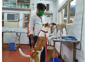 Moitri Veterinary Clinic