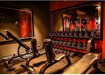 Mr & Mrs.Muscles Gym