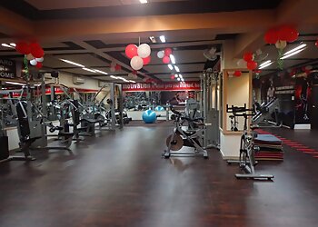 My Fitness Zone Gym