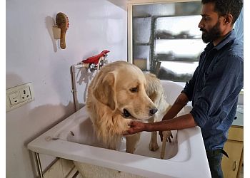 My Pet Clinic - Dr. Arun Chitkala