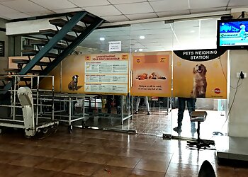 Nandini Veterinary Hospital