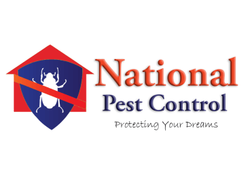 3 Best Pest Control Services in Dhanbad - Expert Recommendations