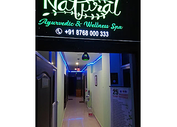 Natural Ayurvedic & Wellness Spa