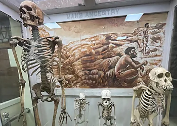 Natural History Museum