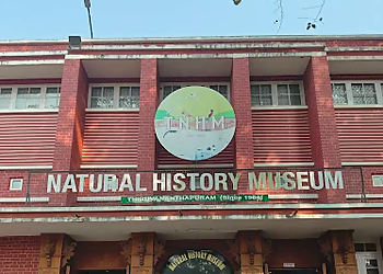 Natural History Museum