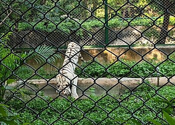 Nawab Wajid Ali Shah Zoological Garden