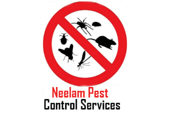 Neelam Pest Control Services
