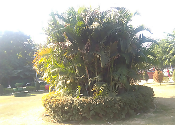 Nehru Park 22 Chd