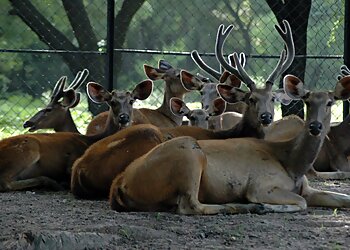 Nehru Zoological Park