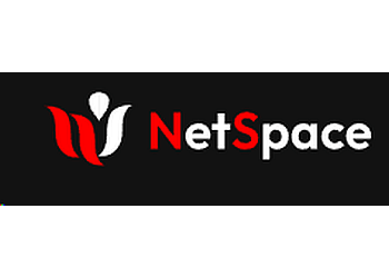 Netspace Software Solutions Pvt. Ltd. 